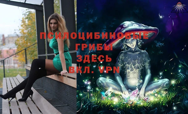 ALPHA PVP Куйбышев