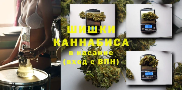 spice Ладушкин