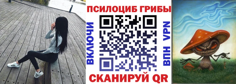 Купить  Липецк  Галлюциногенные грибы Cubensis 